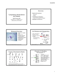 Cytogenetics