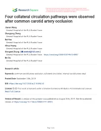Four Collateral Circulation Pathways Were Observed After Common Carotid Artery Occlusion