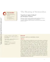 The Meaning of Stromatolites