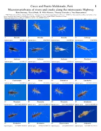 Cusco and Puerto Maldonado, Perú 1 Macroinvertebrates of Rivers and Creeks Along the Interoceanic Highway 1 1 2 3 4 Bern Sweeney, David Funk, R