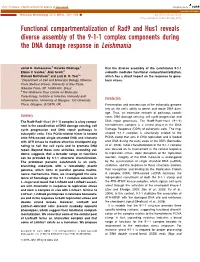 Functional Compartmentalization of Rad9 and Hus1 Reveals Diverse Assembly of the 9-1-1 Complex Components During the DNA Damage Response in Leishmania
