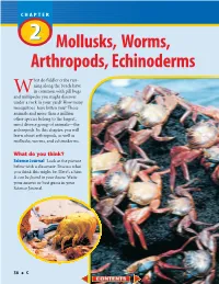 Mollusks, Worms, Arthropods, and Echinoderms As Shown