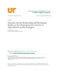 Structure-Activity Relationship and Mechanistic Studies on The