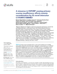 A Missense in HSF2BP Causing Primary Ovarian Insufficiency Affects
