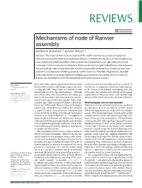 Mechanisms of Node of Ranvier Assembly