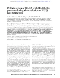 Collaboration of RAG2 with RAG1-Like Proteins During the Evolution of V(D)J Recombination