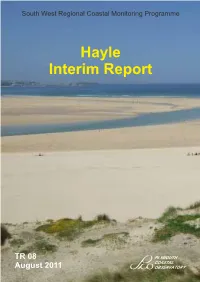 Hayle Interim Report