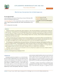 Mind the Gaps: Investigating Collective Health Aggression