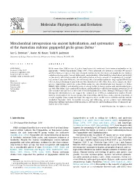 Mitochondrial Introgression Via Ancient Hybridization, and Systematics of the Australian Endemic Pygopodid Gecko Genus Delma Q ⇑ Ian G