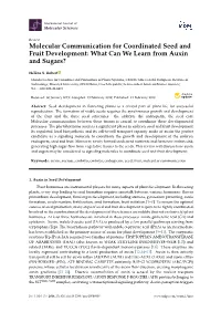 Molecular Communication for Coordinated Seed and Fruit Development: What Can We Learn from Auxin and Sugars?