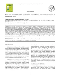 Notes on Coccinellid Beetles (Coleoptera: Coccinellidae) from Forest Ecosystem of Uttarakhand, India