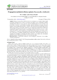 Propagation Methods in Babaco Plants (Vasconcella X Helbornii)