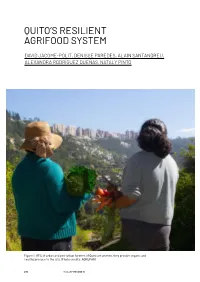 Quito's Resilient Agrifood System