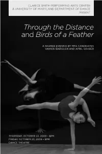 Through the Distance and Birds of a Feather