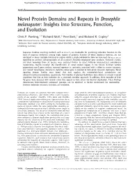 Novel Protein Domains and Repeats in Drosophila Melanogaster: Insights Into Structure, Function, and Evolution