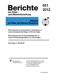 Phlorotannins As UV-Protective Substances in Early Developmental Stages of Brown Algae