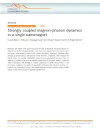 Phonon Dynamics in a Single Nanomagnet
