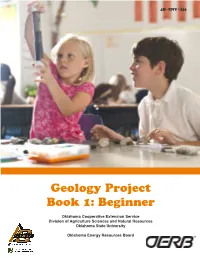 Geology Project Book 1: Beginner