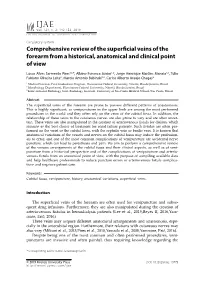 Comprehensive Review of the Superficial Veins of the Forearm from a Historical, Anatomical and Clinical Point of View
