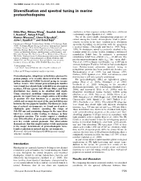Diversification and Spectral Tuning in Marine Proteorhodopsins