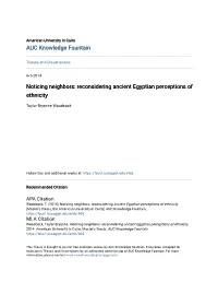 Reconsidering Ancient Egyptian Perceptions of Ethnicity