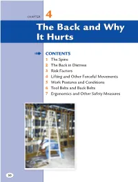 The Back and Why It Hurts