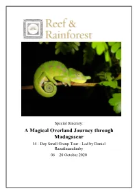 A Magical Overland Journey Through Madagascar