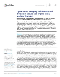 Cytocensus, Mapping Cell Identity and Division in Tissues and Organs Using Machine Learning