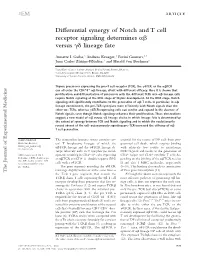 Differential Synergy of Notch and T Cell Receptor Signaling Determines Αβ