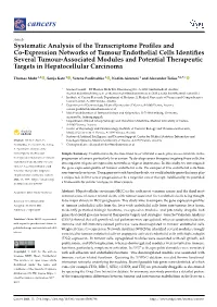 Systematic Analysis of the Transcriptome Profiles and Co-Expression Networks of Tumour Endothelial Cells Identifies Several Tumo