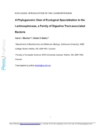 View Preprint