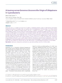 A Journey Across Genomes Uncovers the Origin of Ubiquinone in Cyanobacteria