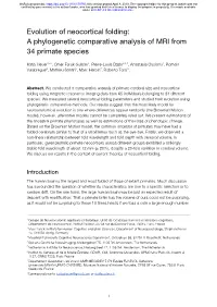A Phylogenetic Comparative Analysis of MRI from 34 Primate Species