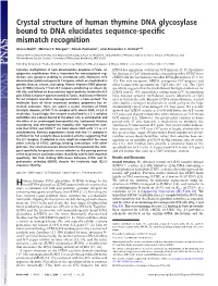 Crystal Structure of Human Thymine DNA Glycosylase Bound to DNA Elucidates Sequence-Specific Mismatch Recognition
