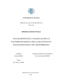 Università Di Pisa
