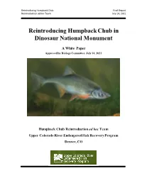 Reintroducing Humpback Chub in Dinosaur National Monument