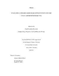 Thesis Evaluating Luteinizing Hormone Receptor