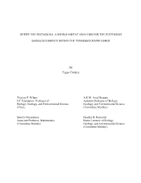 A Microhabitat Analysis for the Plethodon Dorsalis
