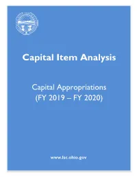 Capital Item Analysis