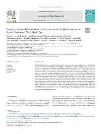 Discovery of Sabellaria Spinulosa Reefs in an Intensively ﬁshed Area of the Dutch Continental Shelf, North Sea T ⁎ Karin J