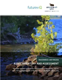 Asset Inventory and Assessment