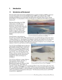Chapter 1: Introduction