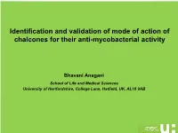 Identification and Validation of Mode of Action of Chalcones for Their Anti-Mycobacterial Activity