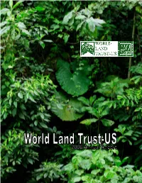 Saving the Atlantic Rainforests