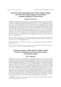 And Arctic Fox (Vulpes Lagopus) and Analysis of Dental Variability in Insular Forms