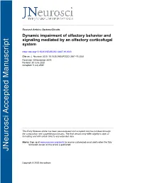 Dynamic Impairment of Olfactory Behavior and Signaling Mediated by an Olfactory Corticofugal System