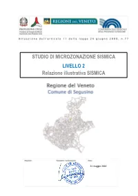 Relazione MS 2 Segusino V6