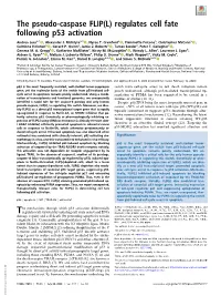 The Pseudo-Caspase FLIP(L) Regulates Cell Fate Following P53 Activation