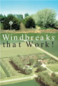 Windbreaks That Work!