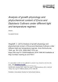 Analysis of Growth Physiology and Phytochemical Content of Eruca and Diplotaxis Cultivars Under Different Light and Temperature Regimes